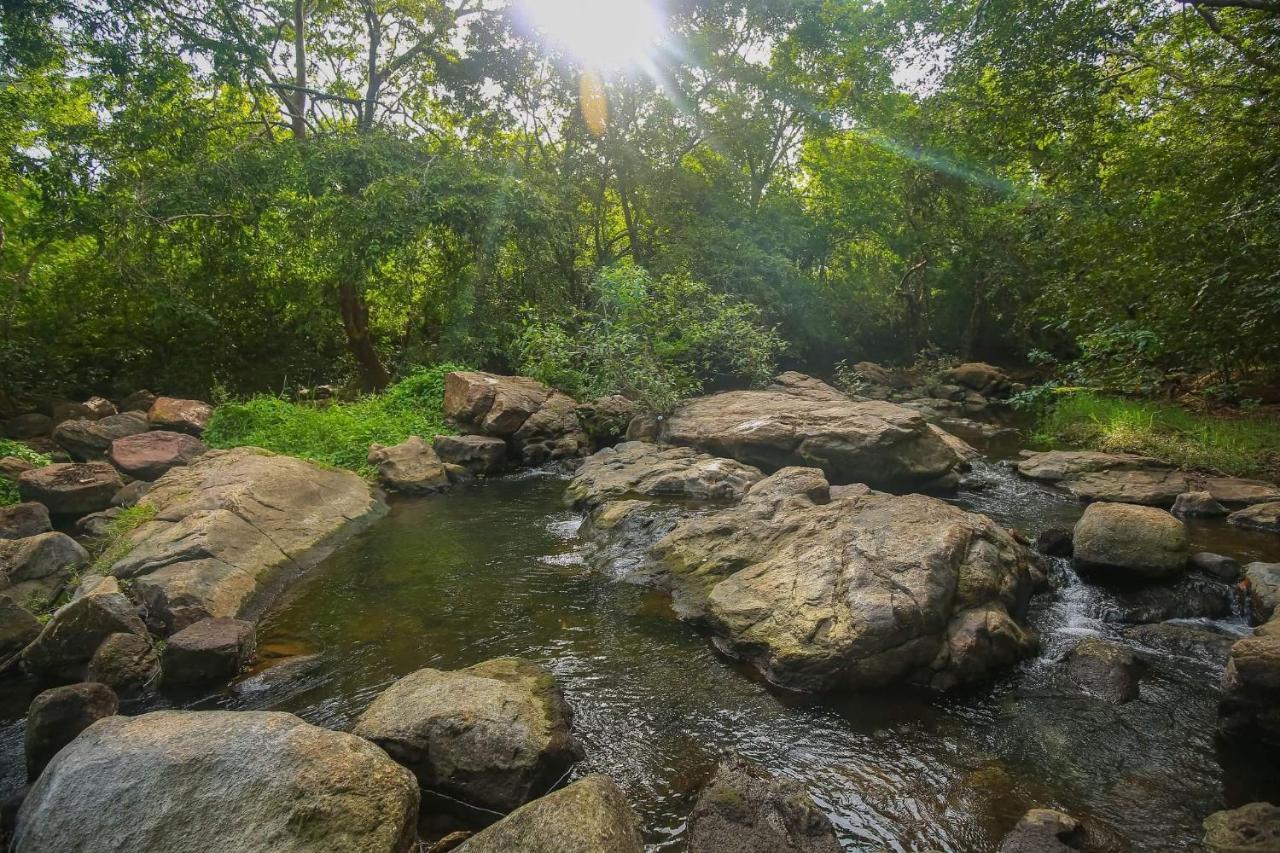 Yala Safari River View Hotel Тіссамахарама Екстер'єр фото