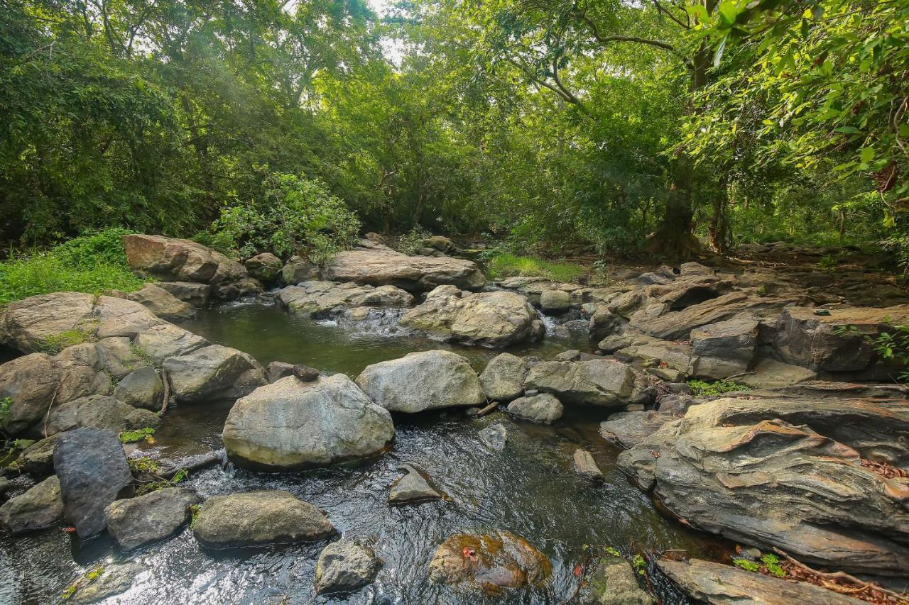 Yala Safari River View Hotel Тіссамахарама Екстер'єр фото
