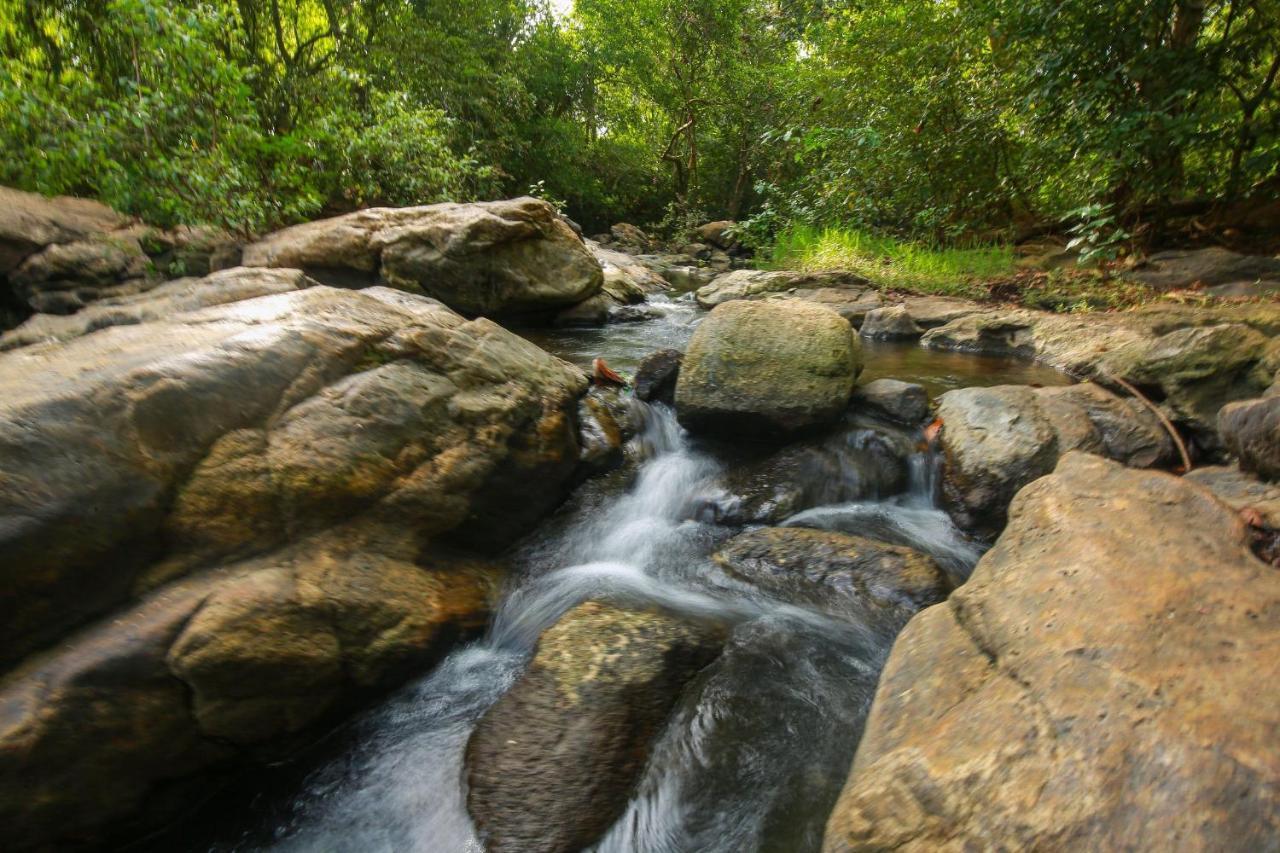 Yala Safari River View Hotel Тіссамахарама Екстер'єр фото