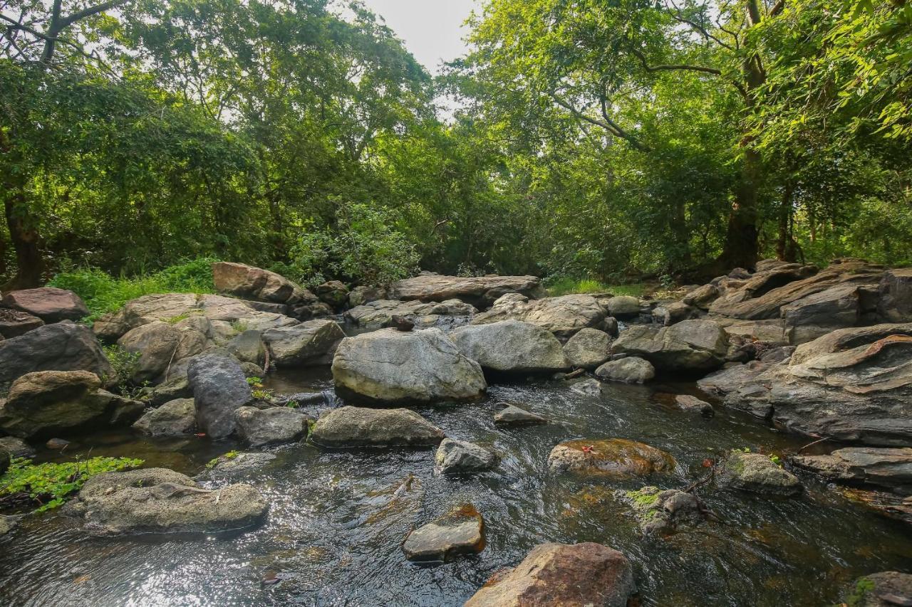 Yala Safari River View Hotel Тіссамахарама Екстер'єр фото