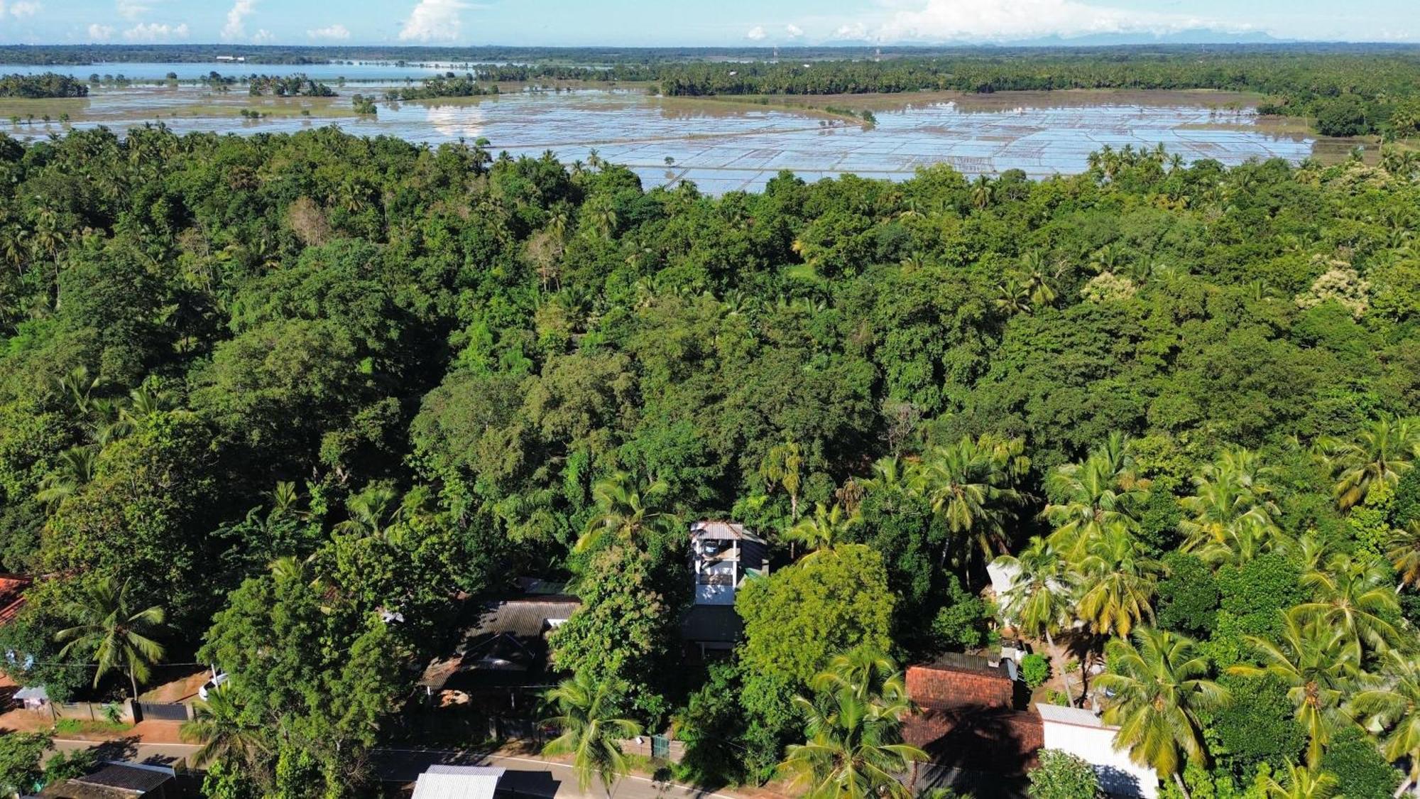 Yala Safari River View Hotel Тіссамахарама Екстер'єр фото