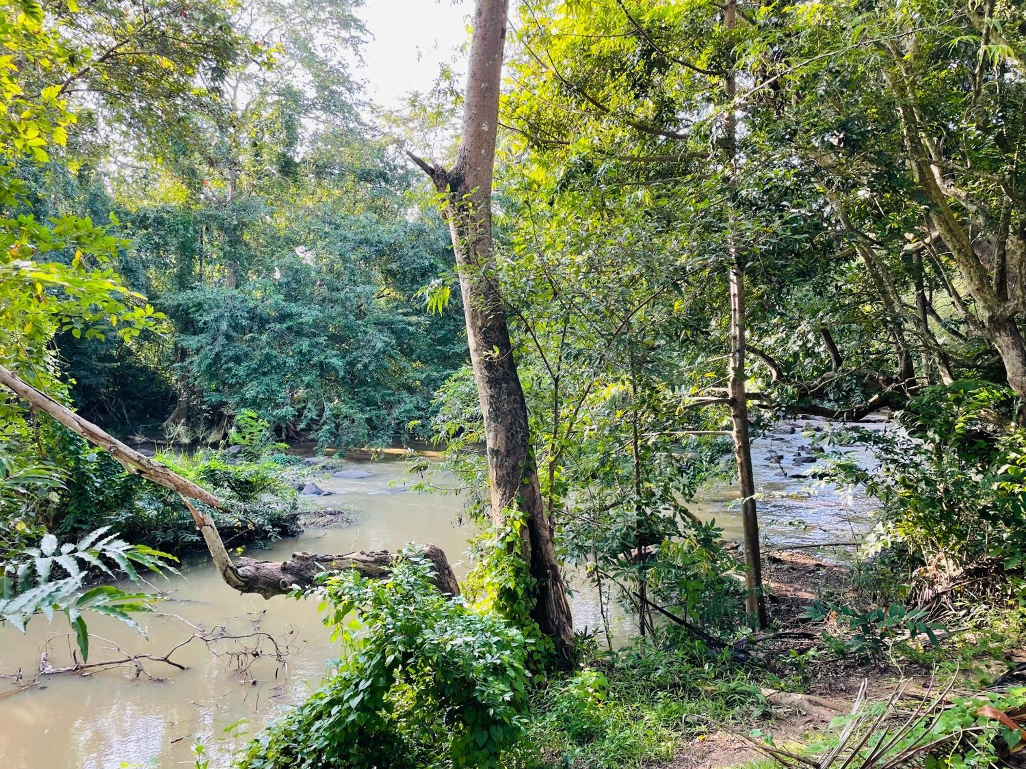 Yala Safari River View Hotel Тіссамахарама Екстер'єр фото